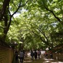부영정 | 창덕궁 후원 자유관람이 가능한 기간이 있다.