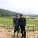 정준근농장 이미지