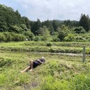 회포농장 이미지