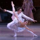 Tchaikovsky / 호두까기 인형 2막 중 Grand Pas de Deux - Adagio' 이미지