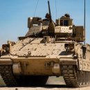 브래들리 이미지