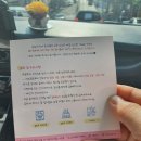 댕모아 이미지