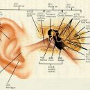 와우보청기 이미지