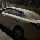 금산 활력의집 | 쫄깃함의 향연! 금산 보양식 맛집에서 기력 충전 제대로 하고 왔어요!