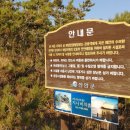 지니비치향 이미지