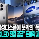 애플, 삼성디스플에 뜻밖의 ‘폭탄주문’…“폴더블 OLED 전량 공급” 돈벼락 제대로 폭발 이미지