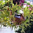 평택시농업기술센터 이미지