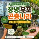 [창녕] 부산 근처 초등학생 아이랑 갈 만한 곳 , 우포곤충나라 후기