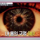 질병 경고등! 눈 건강 지키는 법 [내 몸 플러스] 이미지