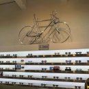 포나인안경파리공원점 이미지