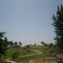 합천이모 이미지