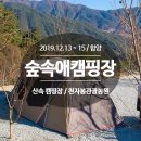 함양천자봉관광농원숲속애 | 함양 숲속애캠핑장 소개, 자연속 힐링이 가득한곳 [천자봉관광농원] / 경남캠핑장