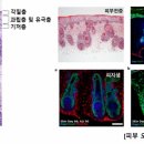 바이오텍 이미지