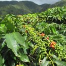 청화농장 이미지