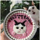 특별한 동물가게 이미지