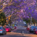 (기획투어)나이트가든투어 이미지