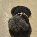 빨강궁전 이미지