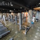 휴휘트니스