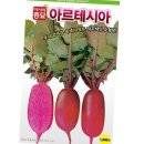 샐러립 이미지