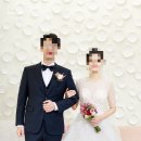 비비드마리