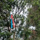 대정성지 이미지