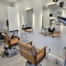 온누리애견미용실 이미지