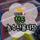 시장할인마트 | [청주] 청주시 농수산물 도매시장에서 할인 받은 후기(온누리 상품권 환급행사, 소라 시세/소라손질법)