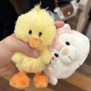 타이베이 성품서점 시먼점 - 컵홀더인형 쇼핑후기 (귀염뽀짝템 가득!)