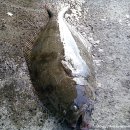 목도재래시장 이미지