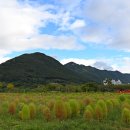 황산공원 이미지