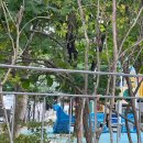 석사체육관 | [척척석사] 모교에서 공연하는 삶, 성공한 삶 아닌가!