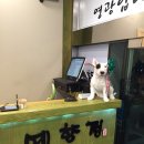 예향정부산시청점 이미지