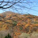 산내알프스펜션 이미지