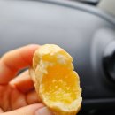 우주라이크양주