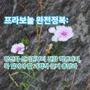 신기원건강 이미지