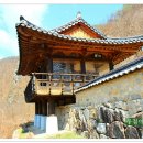 서원34호 Daum카페