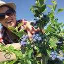 우리돈농장 이미지