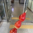 호당탕후루&십원빵 이미지