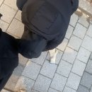 1월의 마지막을 이렇게 보냈어요