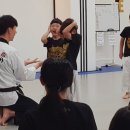 새미래 소나무향기태권도 이미지