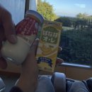 고심 고기연구소 | "대마도 히타카츠"에서 야무지게 1박 2일 보내는 법