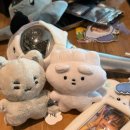퐈이야 | 250704-0706 Xdinary heroes &lt;The xcape&gt; 엑디즈 썸머콘 후기