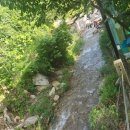 천문대 별빛정원 | 영천 캠핑장 천문대별빛정원 — 별 관측부터 벚꽃까지 4가지 매력