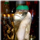 [ "하늘타리(천화분)"의 사진과 약효! / 당뇨의 명약] | 약이 되는 산야초 이미지