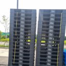 파레트