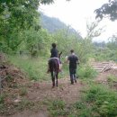 해동검도 북삼체육관 이미지