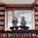 우아한 게으름 이미지