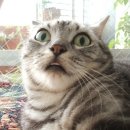 응암역2번출구(센타폴리스) 이미지