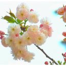 정한농원 이미지