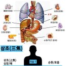 음양오행과 사상체질